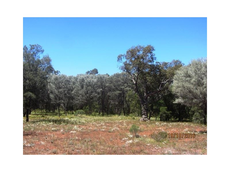 * West Wilgaroon, Cobar NSW 2835