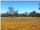 * West Wilgaroon, Cobar NSW 2835