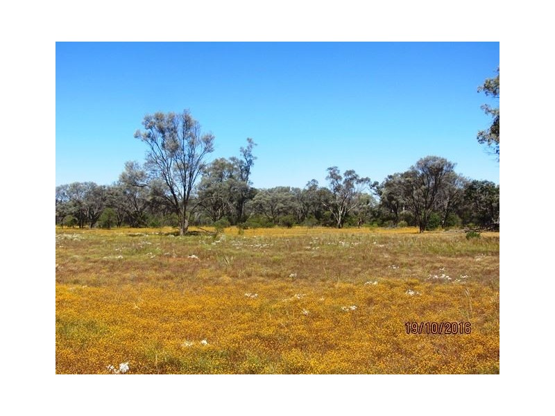 * West Wilgaroon, Cobar NSW 2835