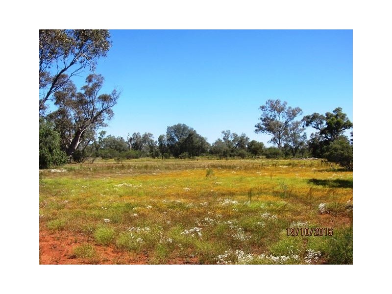 * West Wilgaroon, Cobar NSW 2835