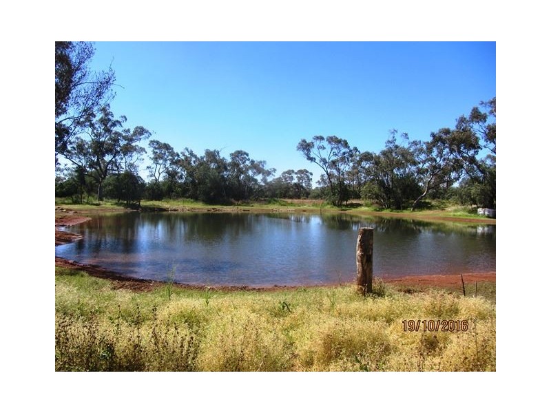 * West Wilgaroon, Cobar NSW 2835