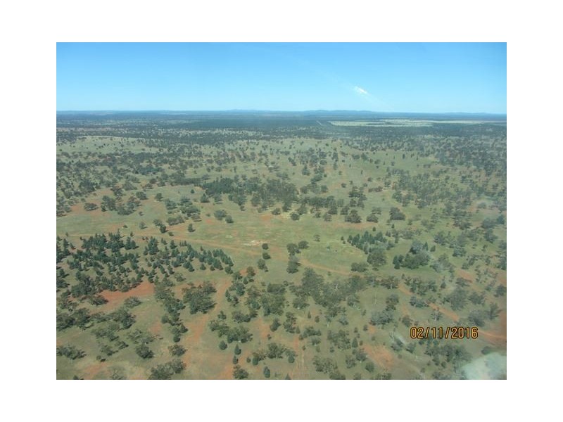 * Mount Hope Station, Hillston NSW 2675