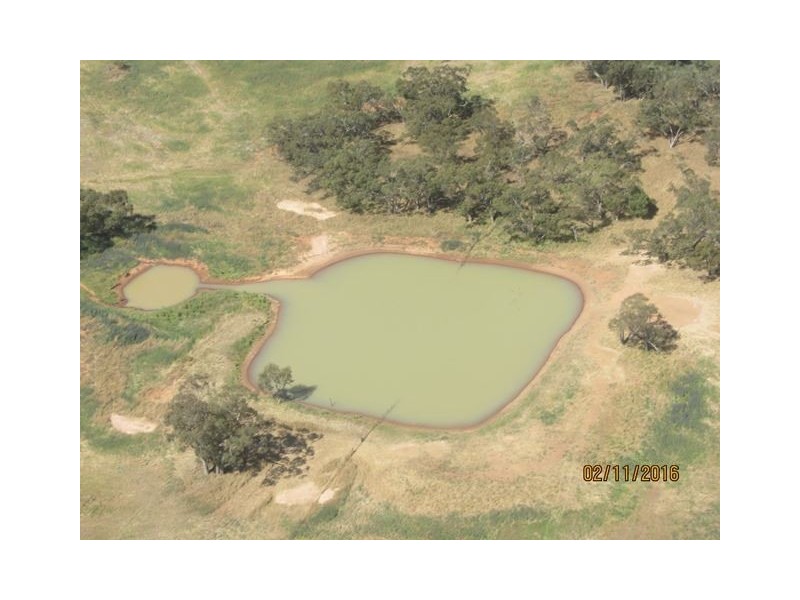 * Mount Hope Station, Hillston NSW 2675