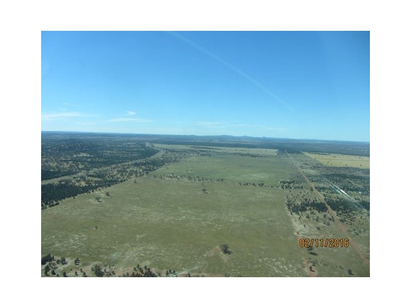 * Mount Hope Station, Hillston NSW 2675