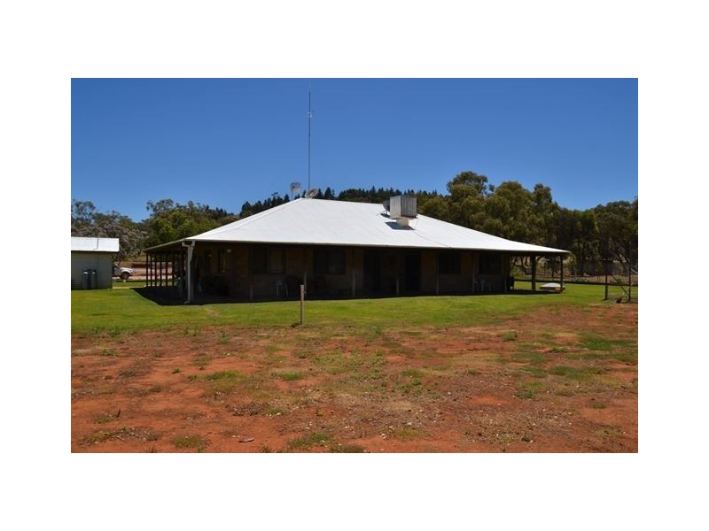 * Mount Hope Station, Hillston NSW 2675