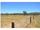 * Mount Hope Station, Hillston NSW 2675