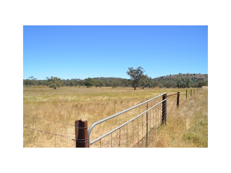 * Mount Hope Station, Hillston NSW 2675