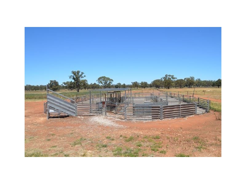 * Mount Hope Station, Hillston NSW 2675