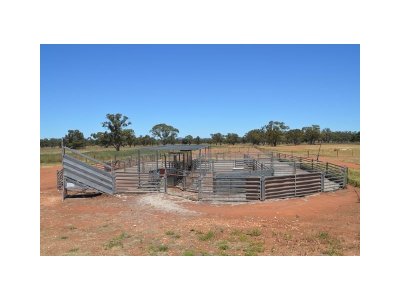 * Mount Hope Station, Hillston NSW 2675