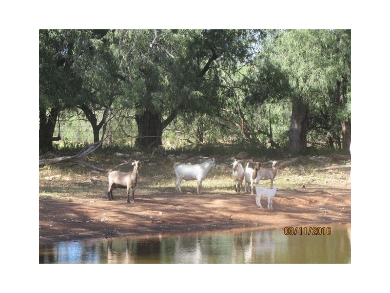 * Brookside, Cobar NSW 2835