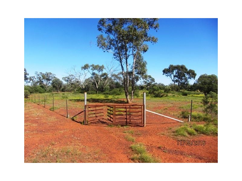 * Denroy, Cobar NSW 2835