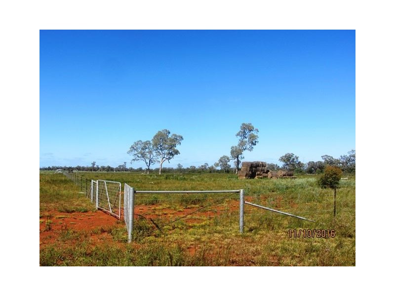 * Denroy, Cobar NSW 2835