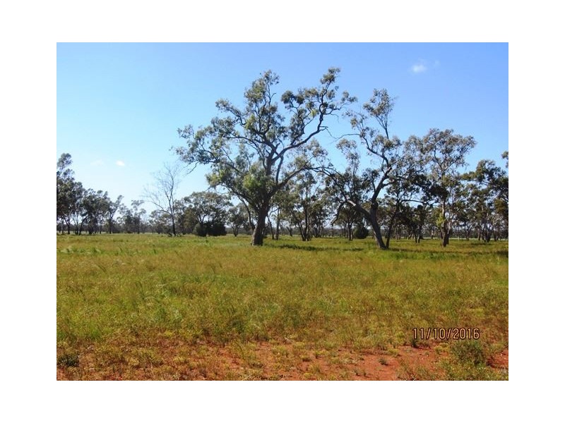 * Denroy, Cobar NSW 2835