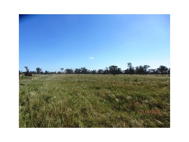 * Denroy, Cobar NSW 2835
