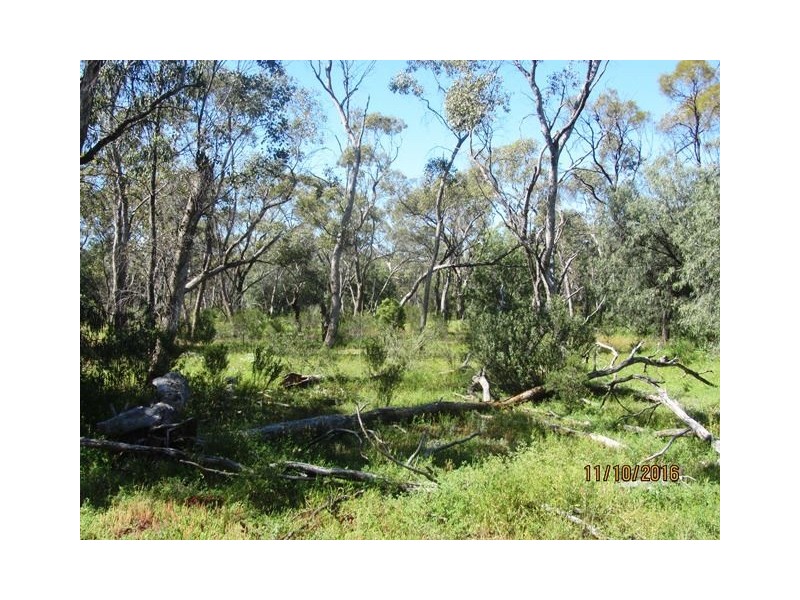 * Denroy, Cobar NSW 2835