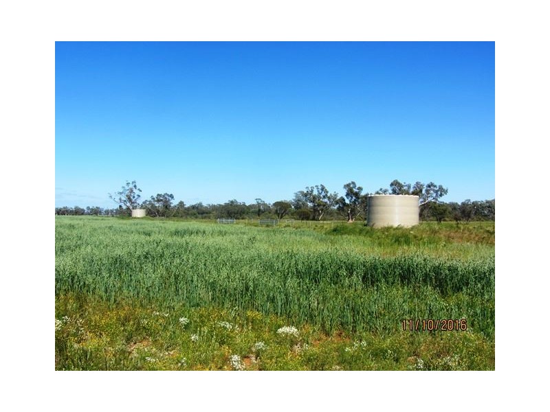 * Denroy, Cobar NSW 2835