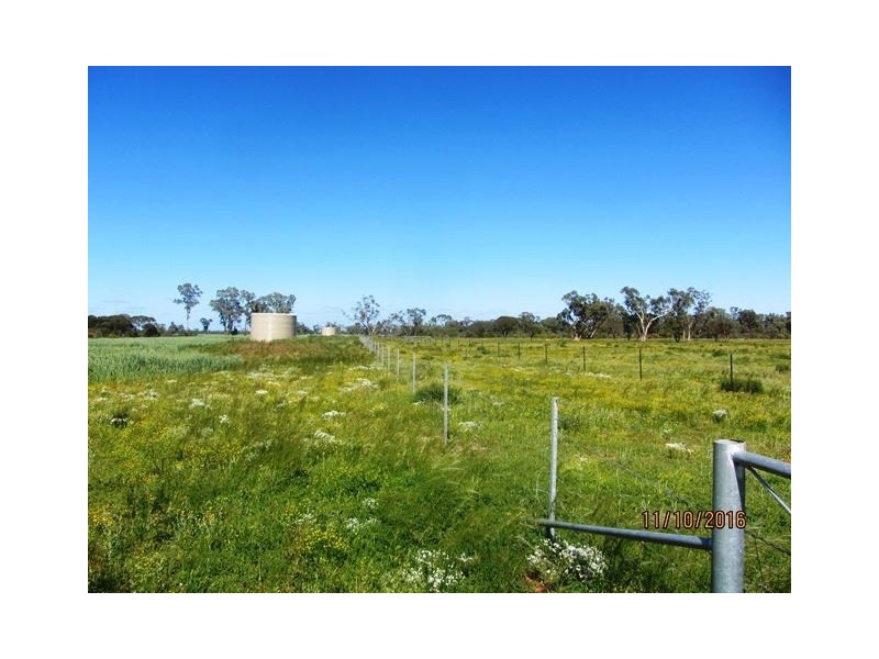 * Denroy, Cobar NSW 2835