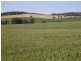 Allot 91 Public Road, Wirrabara SA 5481