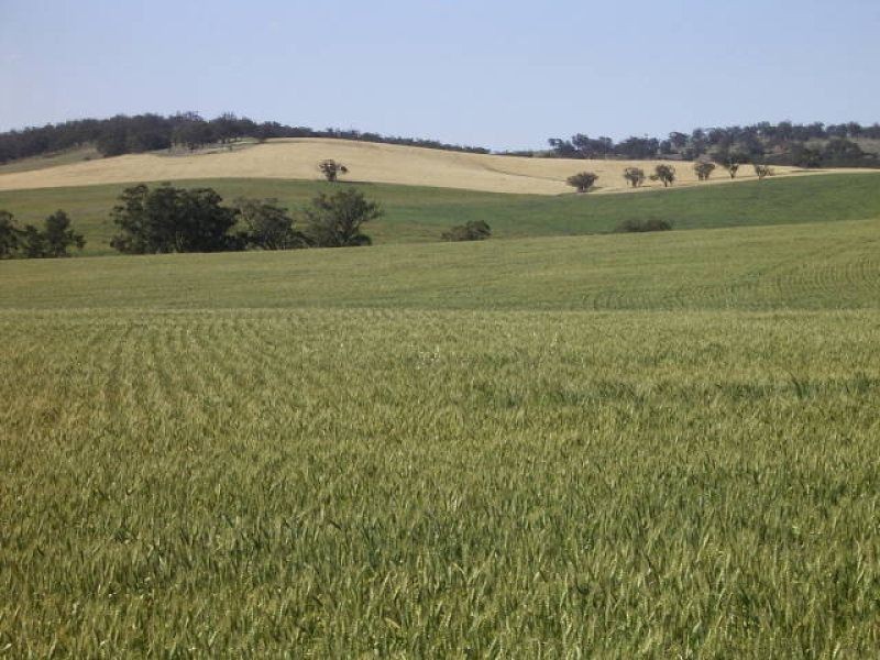 Allot 91 Public Road, Wirrabara SA 5481