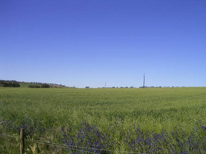 Allot 91 Public Road, Wirrabara SA 5481
