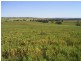 Allot 91 Public Road, Wirrabara SA 5481