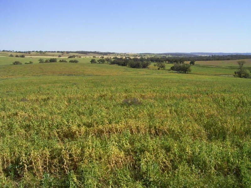 Allot 91 Public Road, Wirrabara SA 5481
