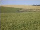 Allot 91 Public Road, Wirrabara SA 5481
