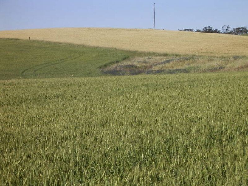 Allot 91 Public Road, Wirrabara SA 5481