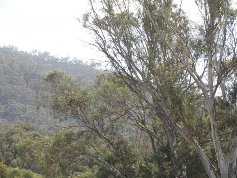 10 Church Street, Melrose SA 5483