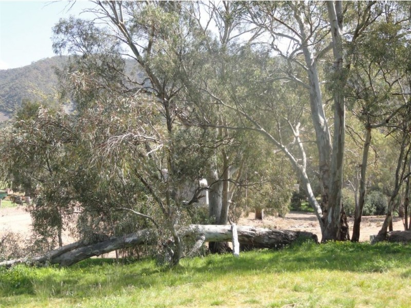 3 Searle Street, Melrose SA 5483