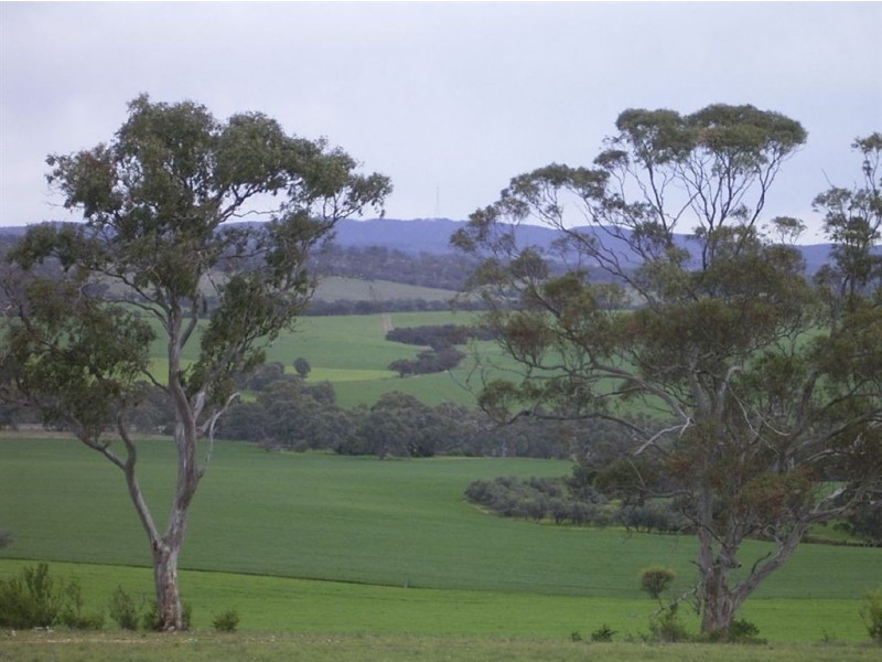 Sect 310 Halls Road, Stone Hut SA 5480