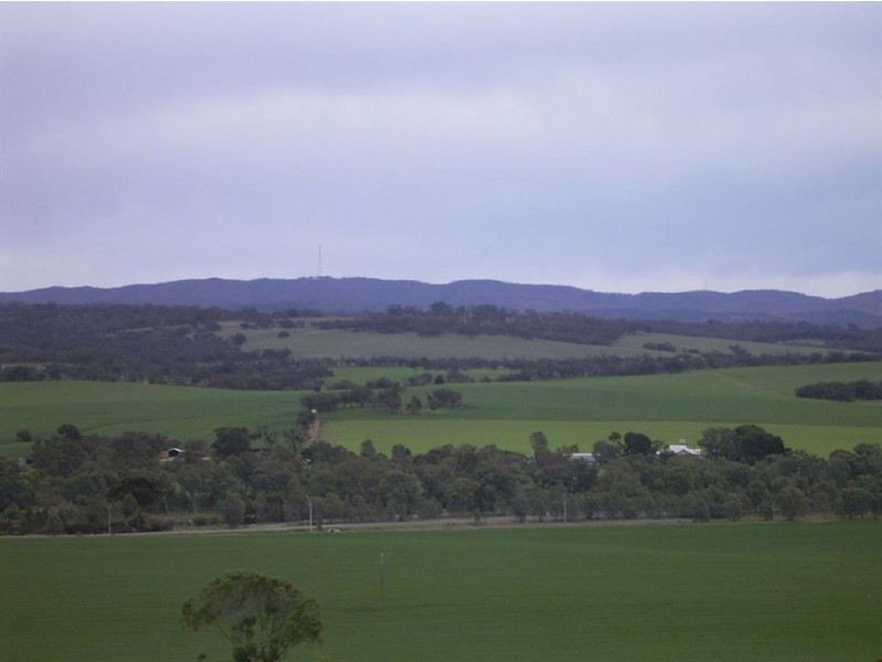 Sect 310 Halls Road, Stone Hut SA 5480