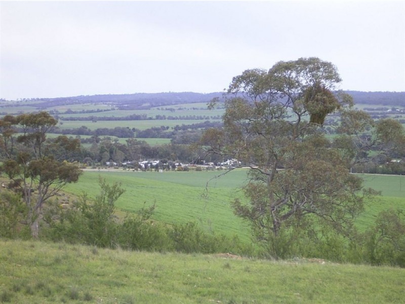 Sect 310 Halls Road, Stone Hut SA 5480