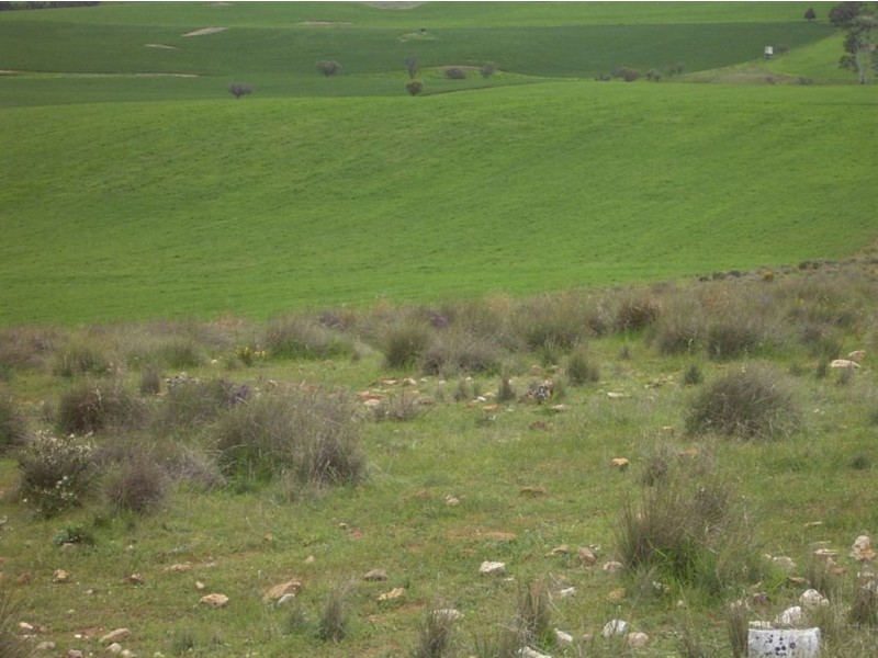 Sect 310 Halls Road, Stone Hut SA 5480