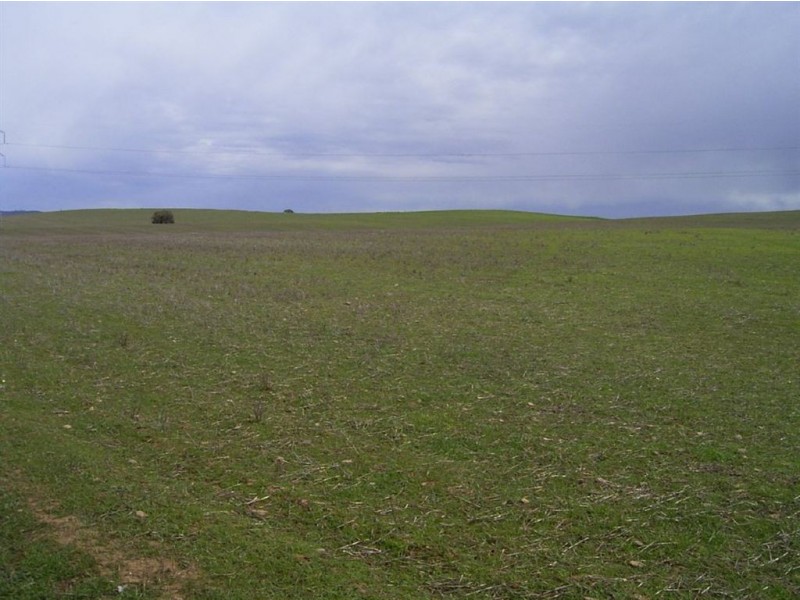 Sect 310 Halls Road, Stone Hut SA 5480