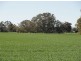 On Booleroo Appila Road, Booleroo Centre SA 5482