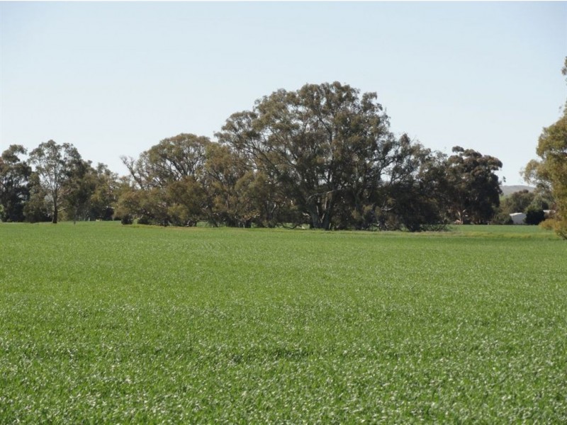 On Booleroo Appila Road, Booleroo Centre SA 5482