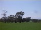 On Booleroo Appila Road, Booleroo Centre SA 5482