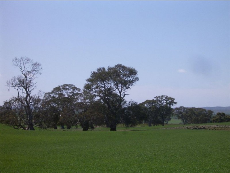 On Booleroo Appila Road, Booleroo Centre SA 5482