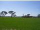 On Booleroo Appila Road, Booleroo Centre SA 5482