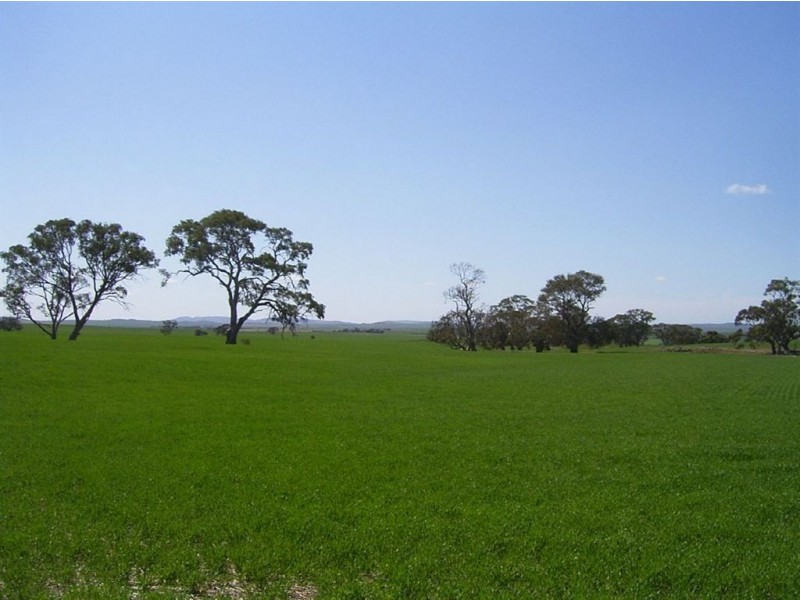 On Booleroo Appila Road, Booleroo Centre SA 5482
