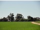 On Booleroo Appila Road, Booleroo Centre SA 5482