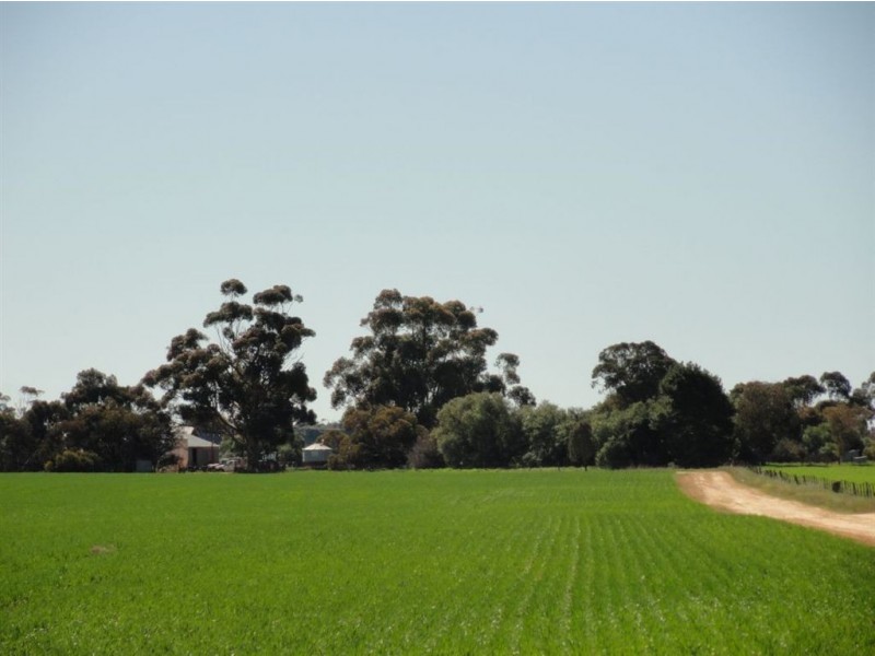 On Booleroo Appila Road, Booleroo Centre SA 5482