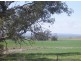 On Booleroo Appila Road, Booleroo Centre SA 5482