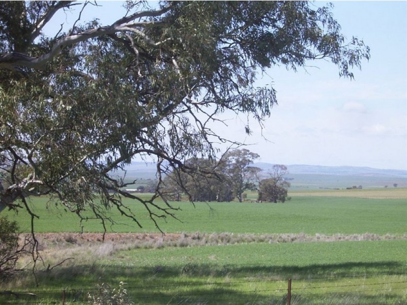 On Booleroo Appila Road, Booleroo Centre SA 5482