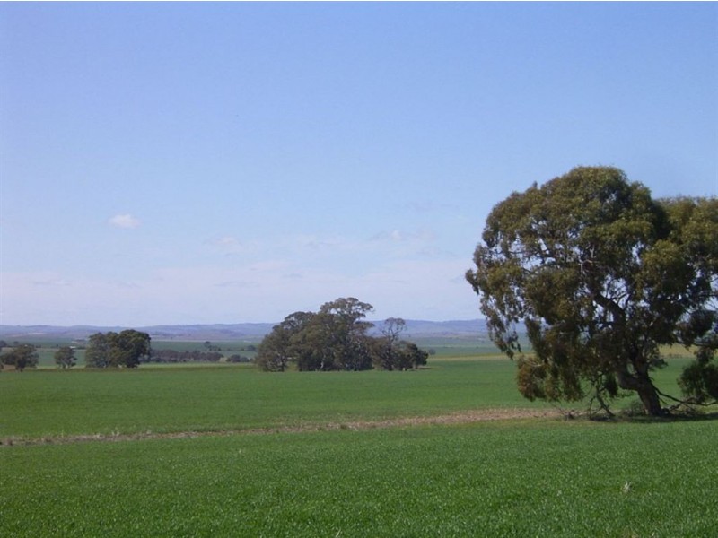 On Booleroo Appila Road, Booleroo Centre SA 5482