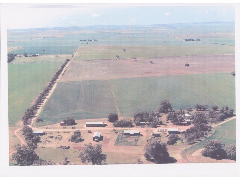 On Booleroo Appila Road, Booleroo Centre SA 5482