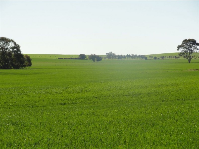 On Booleroo Appila Road, Booleroo Centre SA 5482