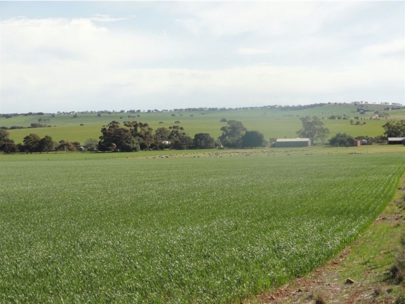 On Booleroo Appila Road, Booleroo Centre SA 5482