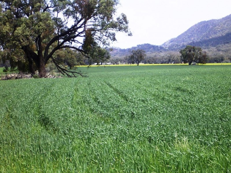 22300 Horrocks Highway, Melrose SA 5483